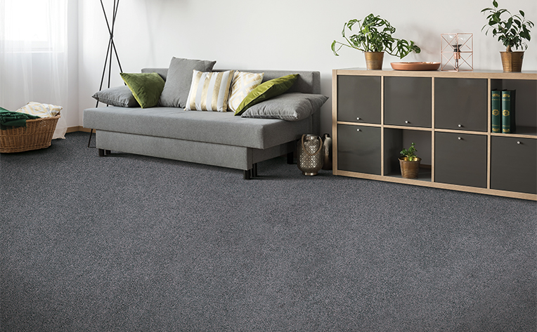 carpet padding in living area